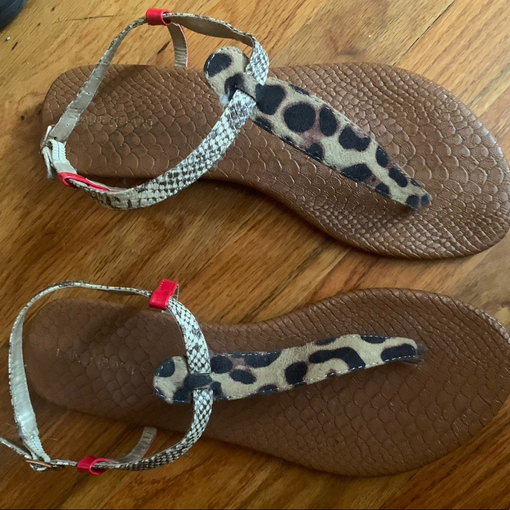 Lane Bryant leopard and red sandal
